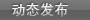 动态发布